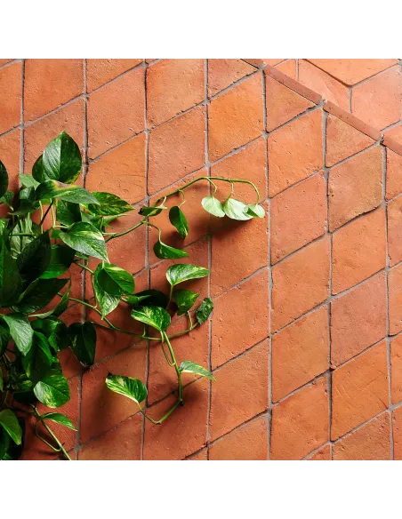 Handmade terracotta tiles with treatment rhombus 12,5x25 cm